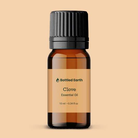 Clove Essential Oil