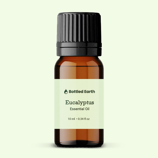 Eucalyptus Essential Oil