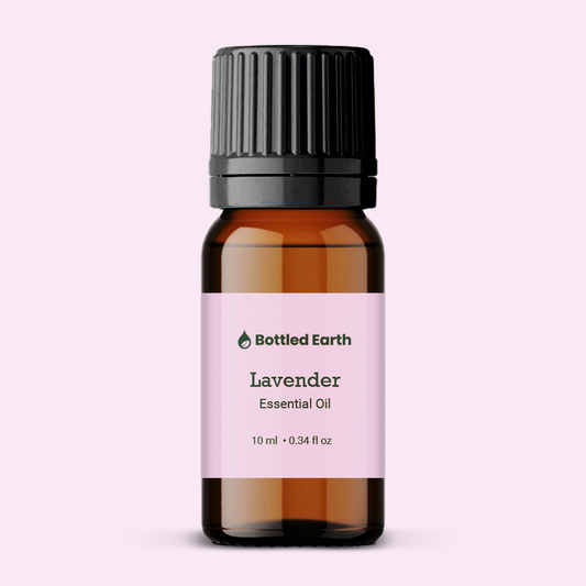 Lavender Essential Oil